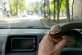 Driver keeps ice cream behind the wheel of the car