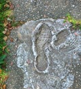 Careless Footprints ruining wet cement
