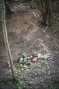 Carelessly discarded bottles and garbage lie on the roadside