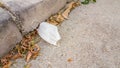 White surgical mask thrown away on the street after use