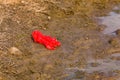 A carelessly discarded plastic bag pollutes the environment Royalty Free Stock Photo