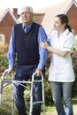 Carer Helping Senior Man To Walk In Garden Using Walking Frame Royalty Free Stock Photo