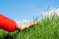 Caressing the grass Royalty Free Stock Photo
