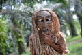 Malaysia orang asli Mah Meri wear mask in oil palm plantation.