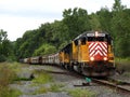 Train at Salt Point on Cayuga Lake in the FingerLakes