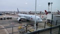 Cargo being loaded into the Plane as it gets ready for its flight to its next destination. Royalty Free Stock Photo