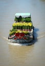 A cargo boat on river in Mekong Delta, Vietnam Royalty Free Stock Photo