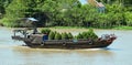 Cargo boat running on river in Mekong Delta, southern Vietnam Royalty Free Stock Photo