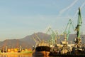 Cargo containers and cranes for loading onto ships in the seaport, logistics and delivery Royalty Free Stock Photo