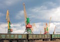 Cargo cranes and wagons in port