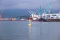 Cargo cranes in the water area of the port of Batumi