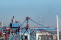 Cargo cranes working in the port of Vladivostok Royalty Free Stock Photo