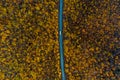 Cargo delivery. white truck drives on an asphalt road through the autumn forest.