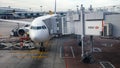 Cargo loading in aircraft at Changi airport in Singapore Royalty Free Stock Photo