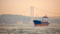 A cargo ship in the Bosphorus, Istanbul, Turkey. Royalty Free Stock Photo