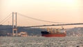 A cargo ship in the Bosphorus, Istanbul, Turkey. Royalty Free Stock Photo