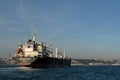 Cargo ship - bulk carrier Interlink Comity in the Bosphorus