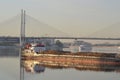 Cargo ship and cable-braced bridge Royalty Free Stock Photo