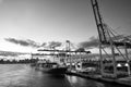 Cargo ship and cranes in sea port on evening sky. Maritime container port or terminal. Shipping freight and merchandise Royalty Free Stock Photo