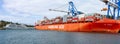 Cargo ship and cruiseliner in Port Chalmers, New Zealand