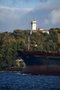 Cargo ship in istanbul