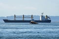 Cargo Ship and Tug Boat Royalty Free Stock Photo