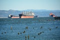 Cargo ships at anchor in the Columbia River Royalty Free Stock Photo