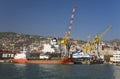 Cargo ships being loaded in Genoa Harbor, Genoa, Italy, Europe