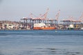Cargo Ships at Berth in Durban Harbour Royalty Free Stock Photo