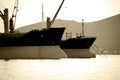 Cargo ships bows
