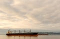 Cargo Ships, Columbia River Royalty Free Stock Photo