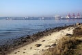 Cargo Ships at Low Tide Durban Harbor