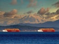 Cargo ships near the shore of Sidney BC