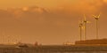 Cargo ships on the Nieuwe Waterweg river  during sunset in Europoort, Rotterdam harbor Royalty Free Stock Photo