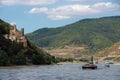 Cargo and tourist ships on the Rhine river valley near Ruedesheim, Germany Royalty Free Stock Photo