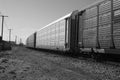 Cargo train