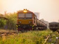 Cargo train over railroad at grass growing placenta.