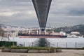 Cargo vessel crossing a channel under a high bridge. Centered on cloudy afternoon.