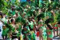 Caribana Revelers