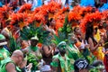 Caribana Revelers