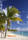 Caribbean Beach Royalty Free Stock Photo