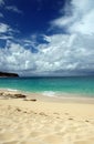 Caribbean Beach with Approaching Storm