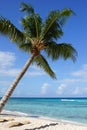 Caribbean Beach, Dominican Republic Royalty Free Stock Photo