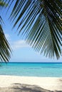 Caribbean Beach, Dominican Republic Royalty Free Stock Photo