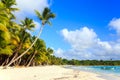 Caribbean beach in Dominican Republic