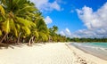 Caribbean beach in Dominican Republic