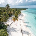 Caribbean beach with a lot of palms and white sand Royalty Free Stock Photo