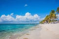 Caribbean beach with a lot of palms and white sand, Dominican Republic. Sunny warm day at the sea under palm trees. Sun loungers Royalty Free Stock Photo