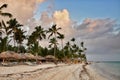 Caribbean beach with a lot of palms and white sand Royalty Free Stock Photo