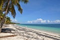 Caribbean beach with a lot of palms and white sand Royalty Free Stock Photo